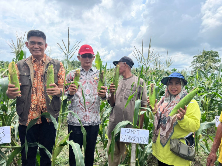 Panen Jagung dan Pangan Lokal Bersama di Desa Muara Jalai