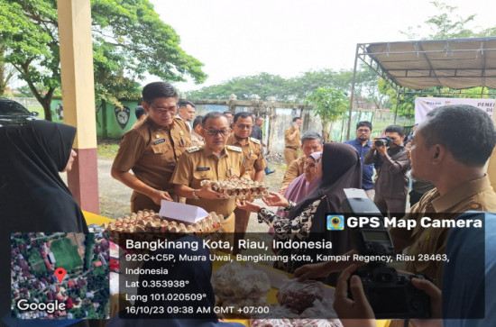 Dinas Ketahanan Pangan Kabupaten Kampar Ikuti Gerakan Pangan Murah Serentak di Indonesia