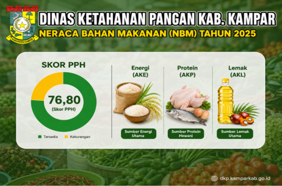 Infografis Neraca Bahan Makanan Kabupaten Kampar Tahun 2025